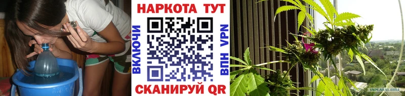 Все наркотики Агрыз Псилоцибиновые грибы  Alpha PVP  Метамфетамин  Бошки Шишки  Меф мяу мяу 