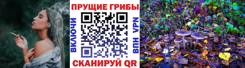 Псилоцибиновые грибы GOLDEN TEACHER  гидра ссылки  Агрыз 